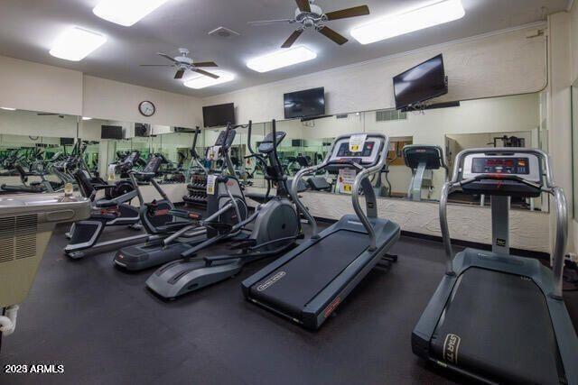 7960 East Camelback Road, Unit 109 Scottsdale, AZ 85251 - Photo 35 of 46 ShadowsGym