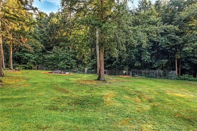 a view of a field with a tree