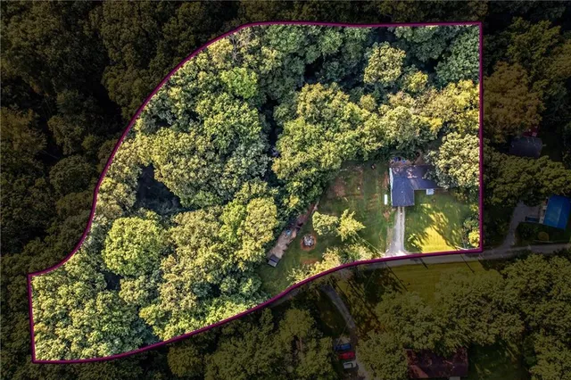 a view of a yard with plants