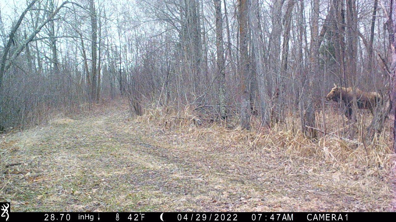 44047 Little Pine Road, Unit 568 ACRES Emily, MN 56447 - Photo 75 of 92