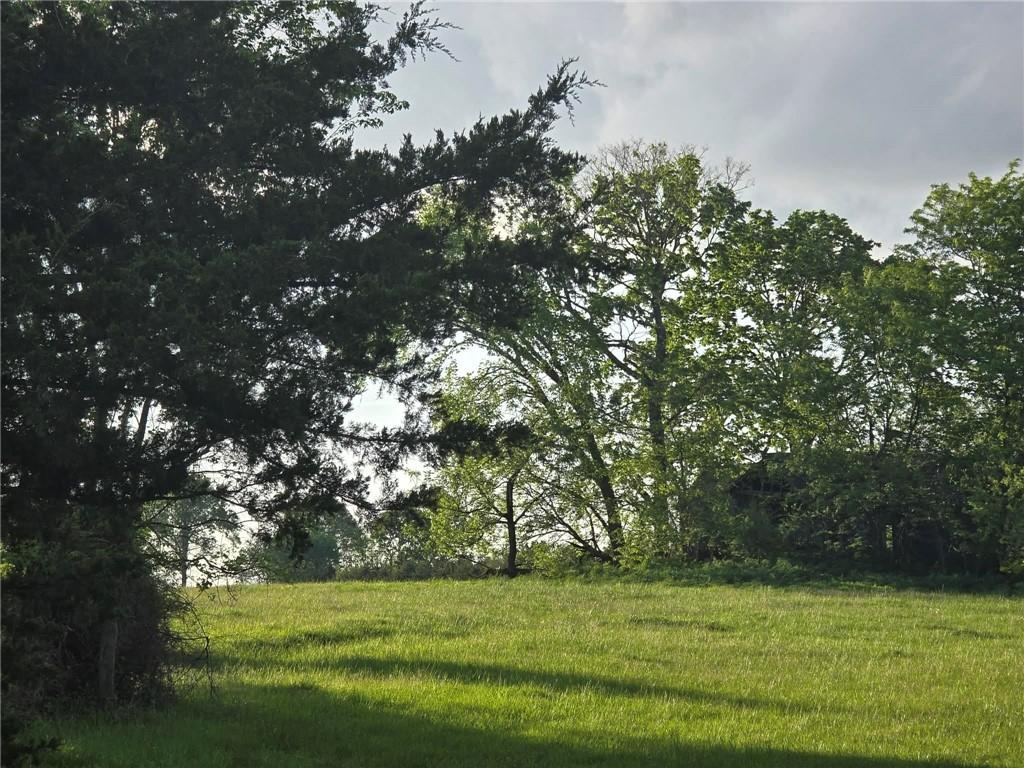 501 80 /- Acres Road Clinton, MO 64735 - Photo 3 of 3