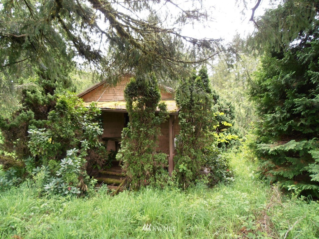 1632 Middle Fork Road Onalaska, WA 98570 - Photo 7 of 7 Gallery Image 7