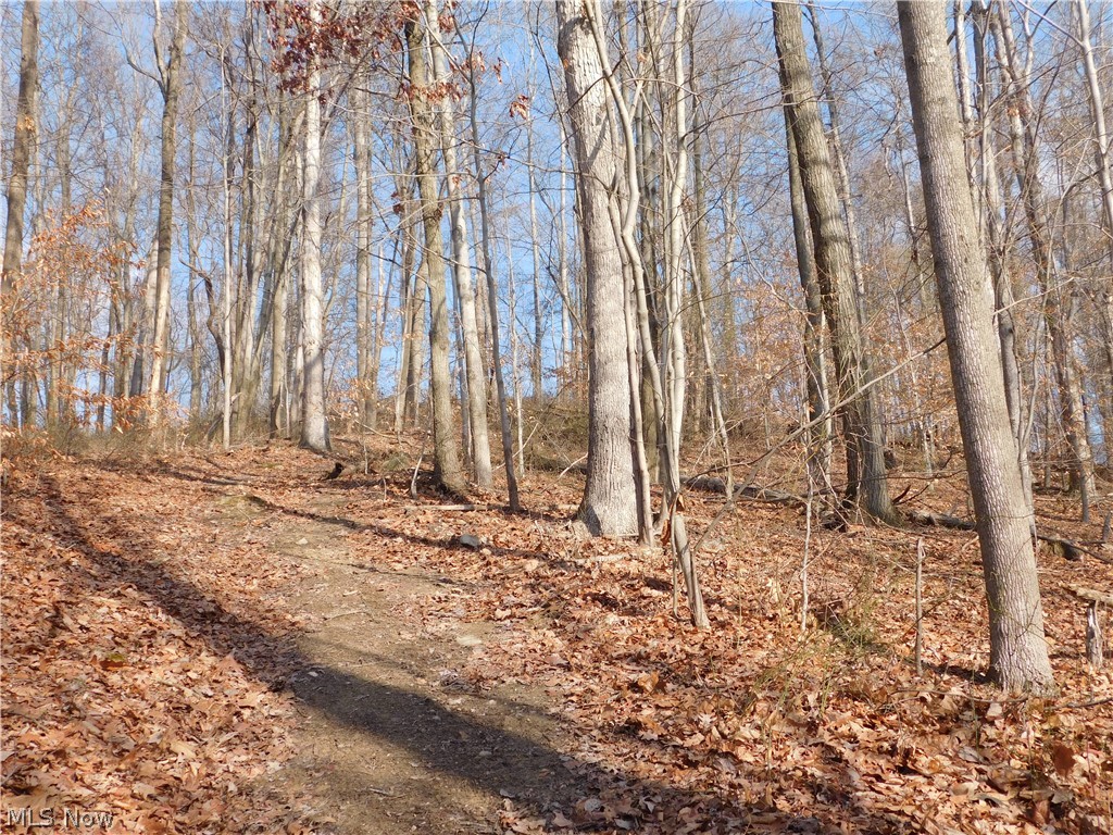 75733 Science Hill Road Newcomerstown, OH 43832 - Photo 22 of 22 Gallery Image 22