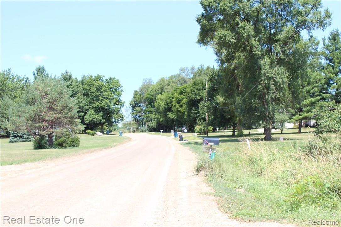 6474 Byron Road Howell, MI 48855 - Photo 13 of 62 ROAD VIEW TO THE NORTH