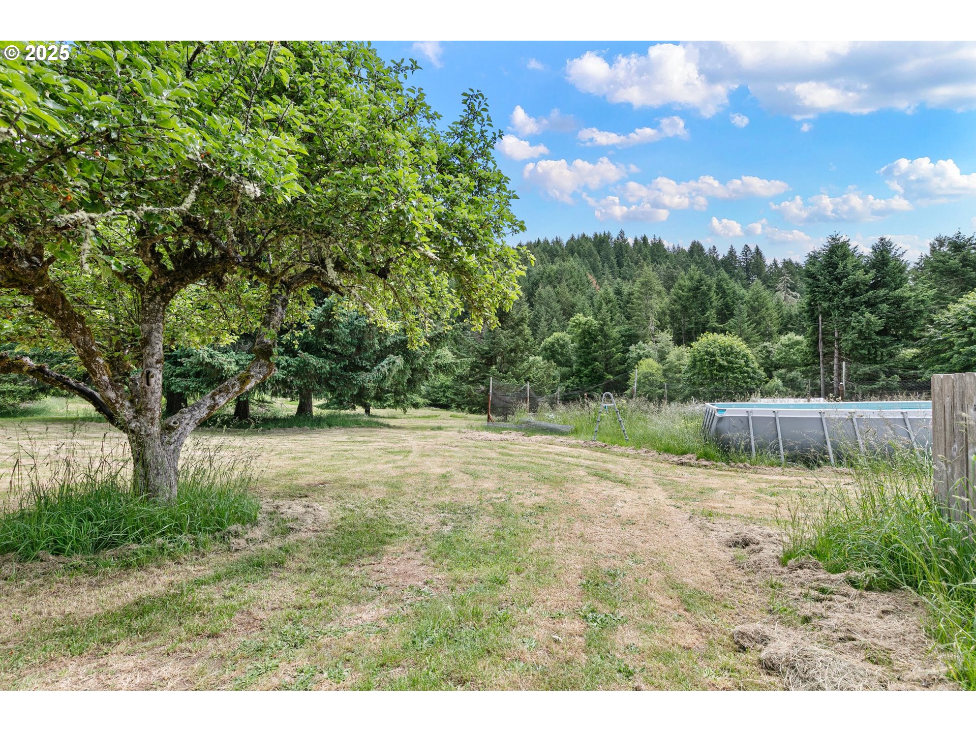 36285 Row River Road Cottage Grove, OR 97424 - Photo 32 of 46