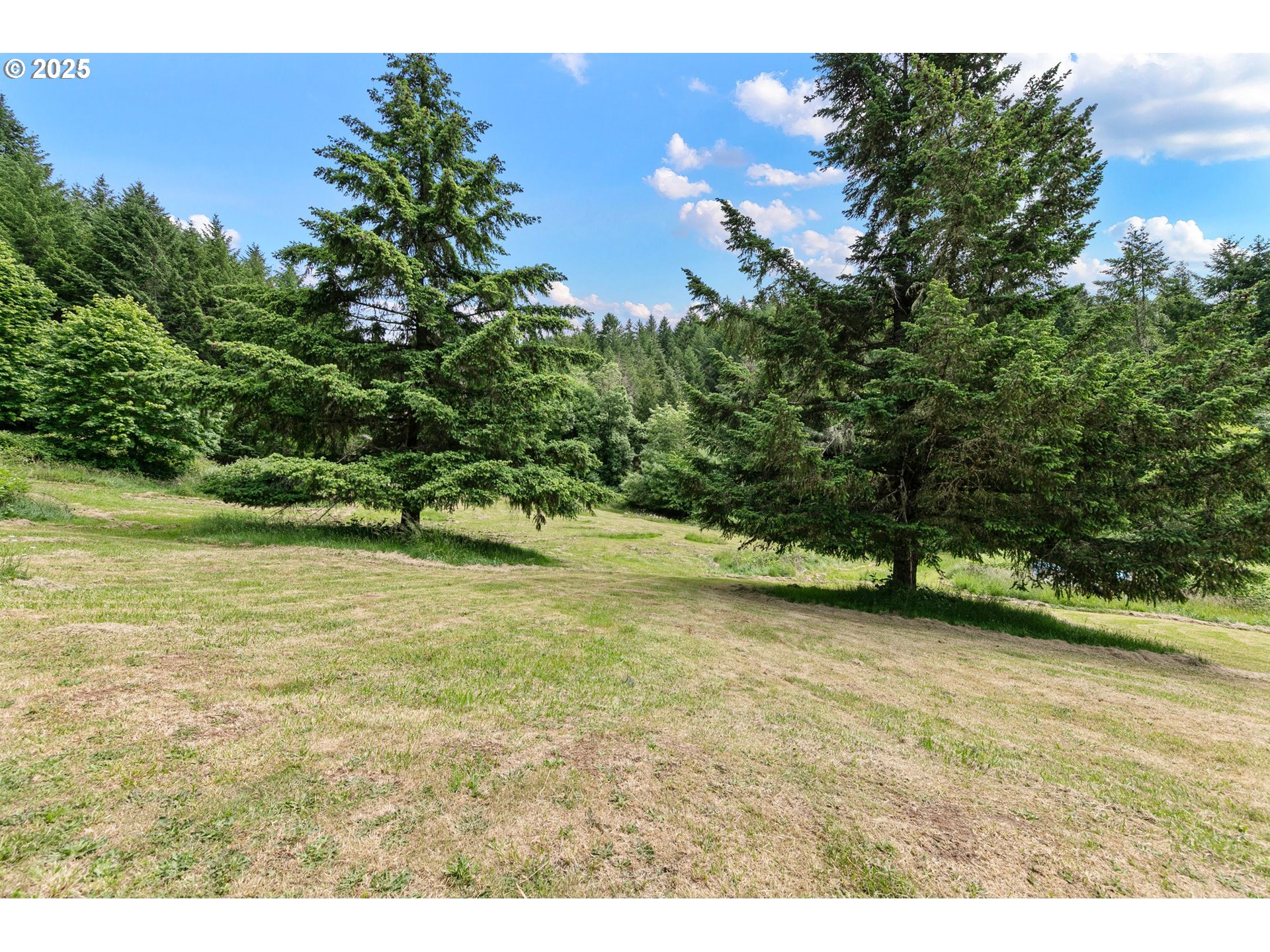 36285 Row River Road Cottage Grove, OR 97424 - Photo 35 of 46