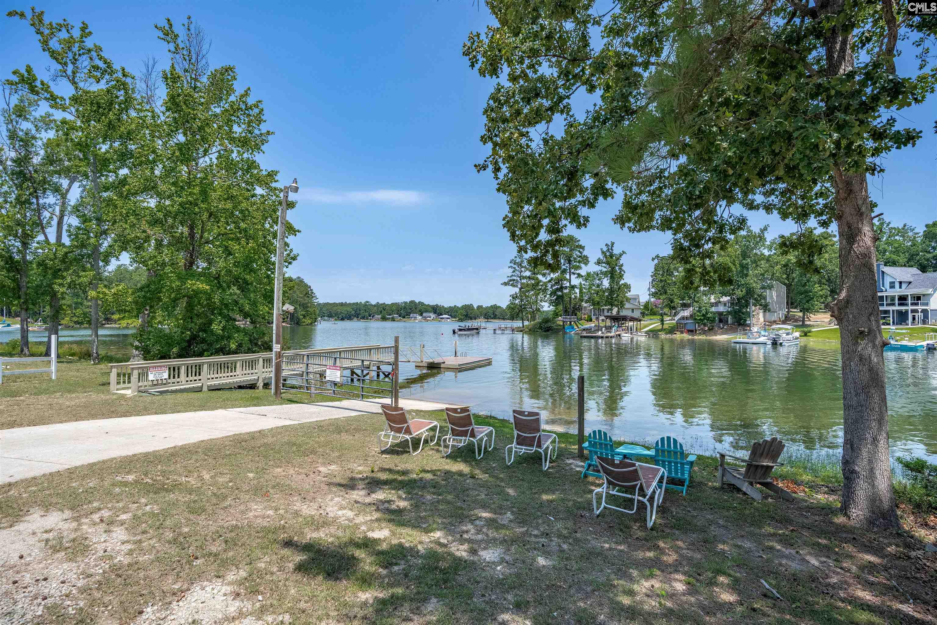 238 Hilton View Court Chapin, SC 29036 - Photo 57 of 63