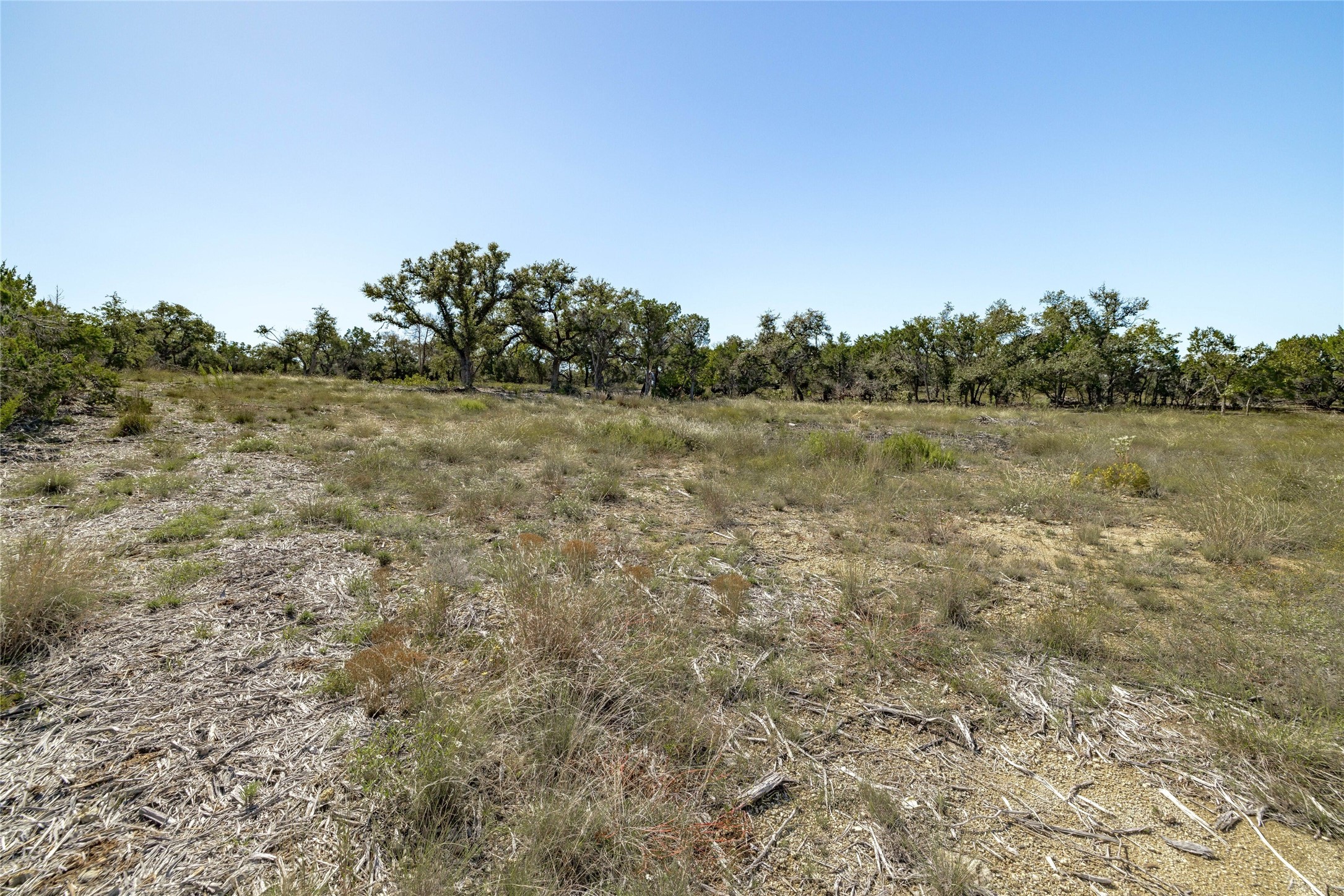 281 County Road 281 Leander, TX 78641 - Photo 10 of 31 a view of a field with trees in the background