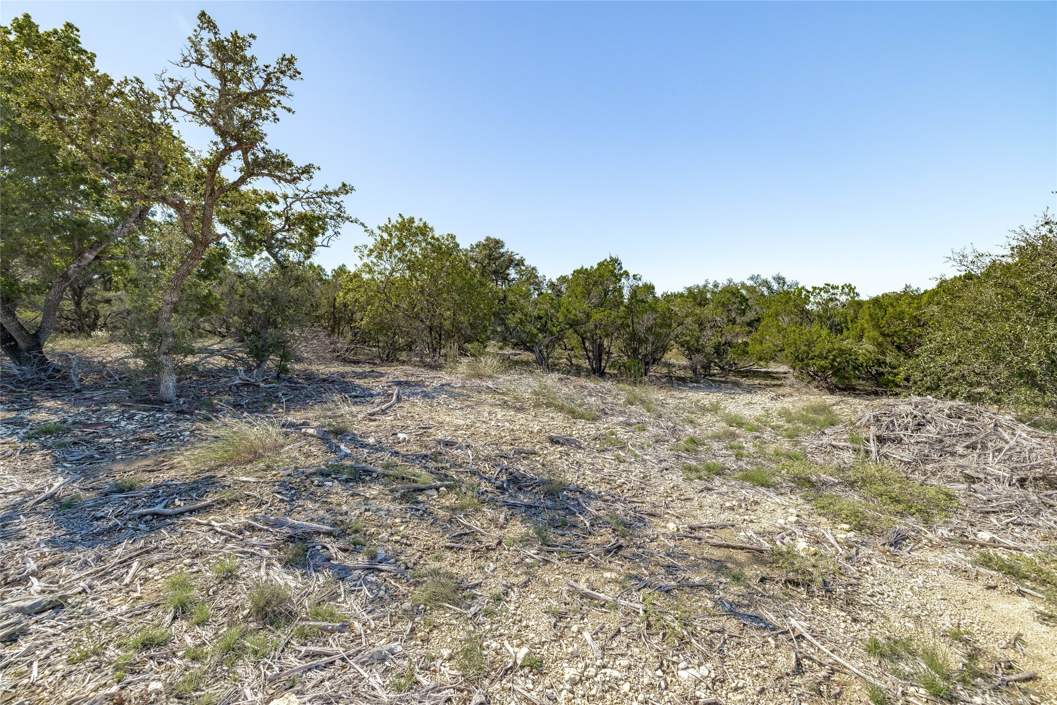 281 County Road 281 Leander, TX 78641 - Photo 11 of 31 a view of a field with trees in the background