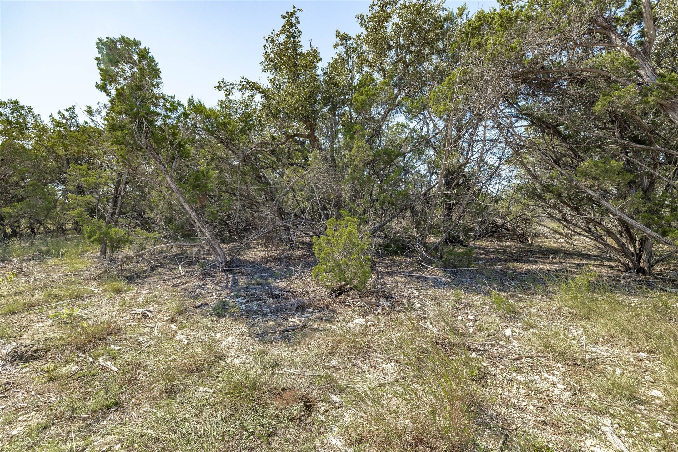281 County Road 281 Leander, TX 78641 - Photo 13 of 31 a view of a lake with large trees