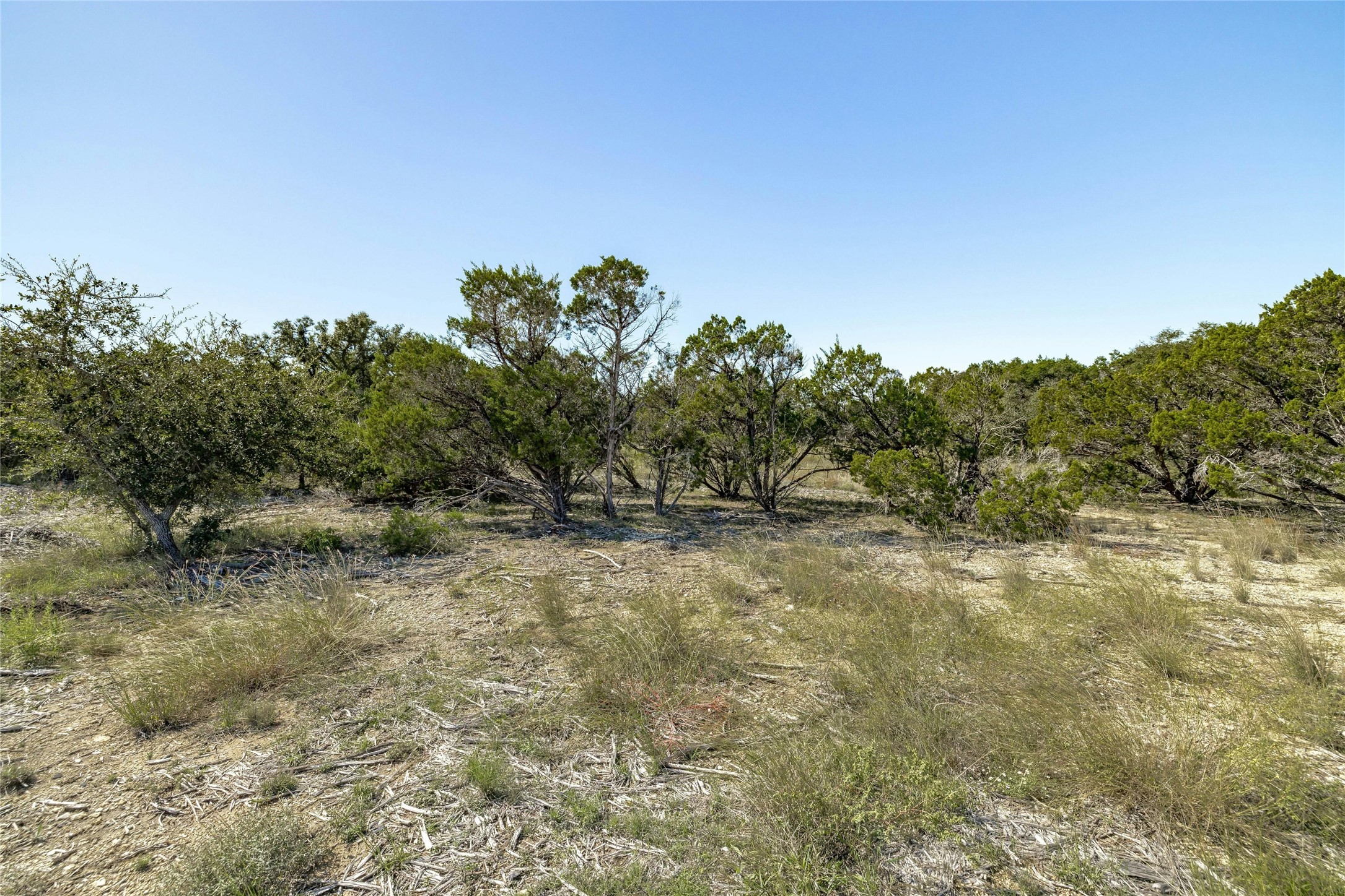 281 County Road 281 Leander, TX 78641 - Photo 15 of 31 a view of a yard with a tree