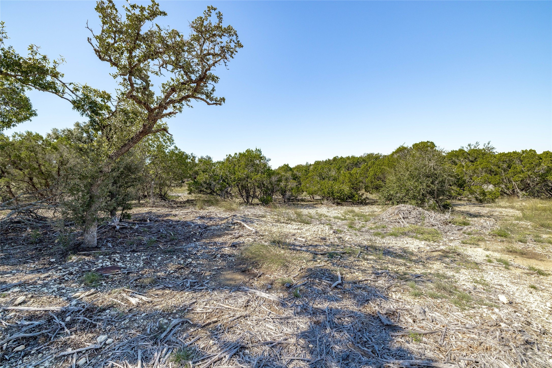 281 County Road 281 Leander, TX 78641 - Photo 2 of 31 a view of a outdoor space with trees all around