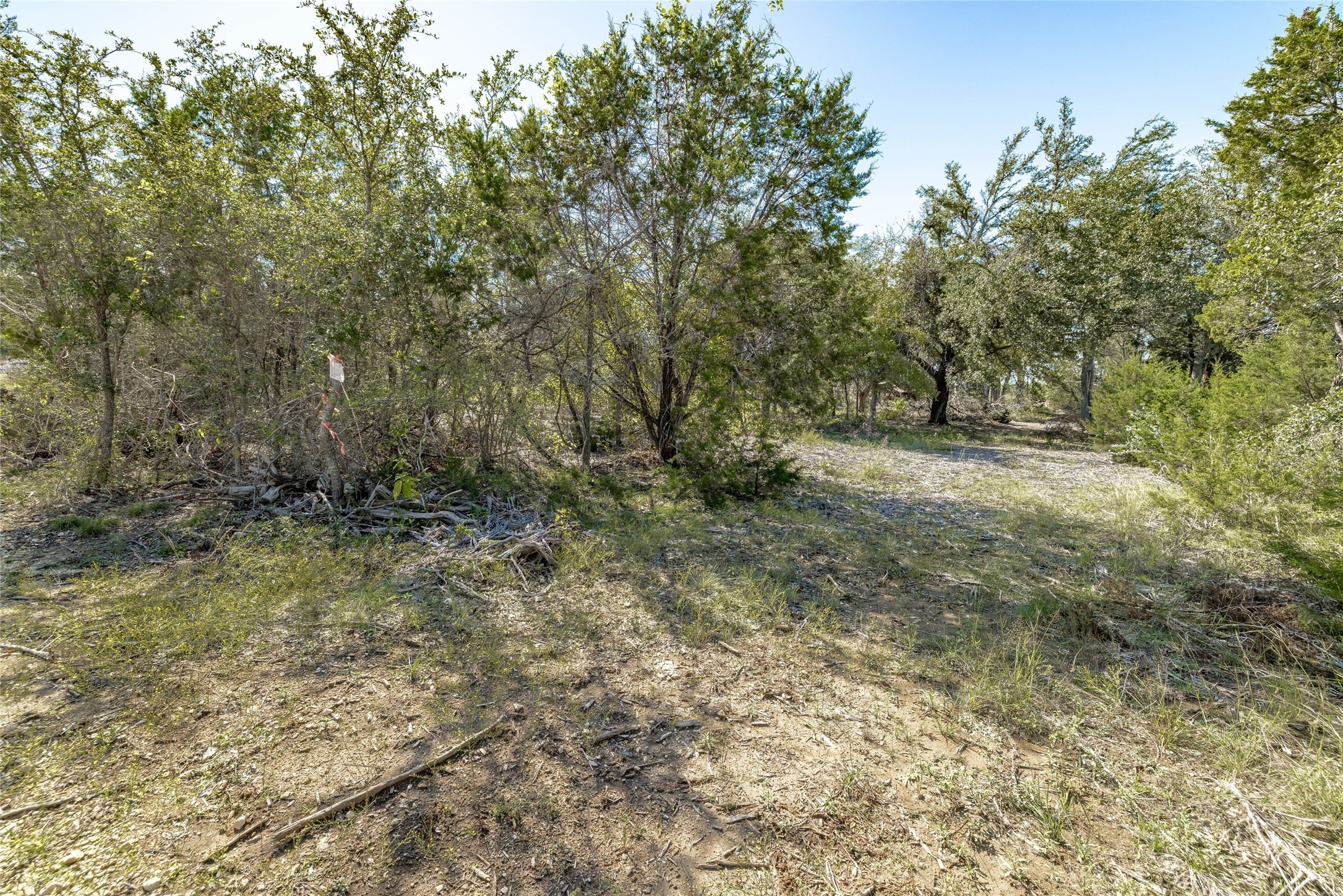 281 County Road 281 Leander, TX 78641 - Photo 6 of 31 a view of outdoor space and trees