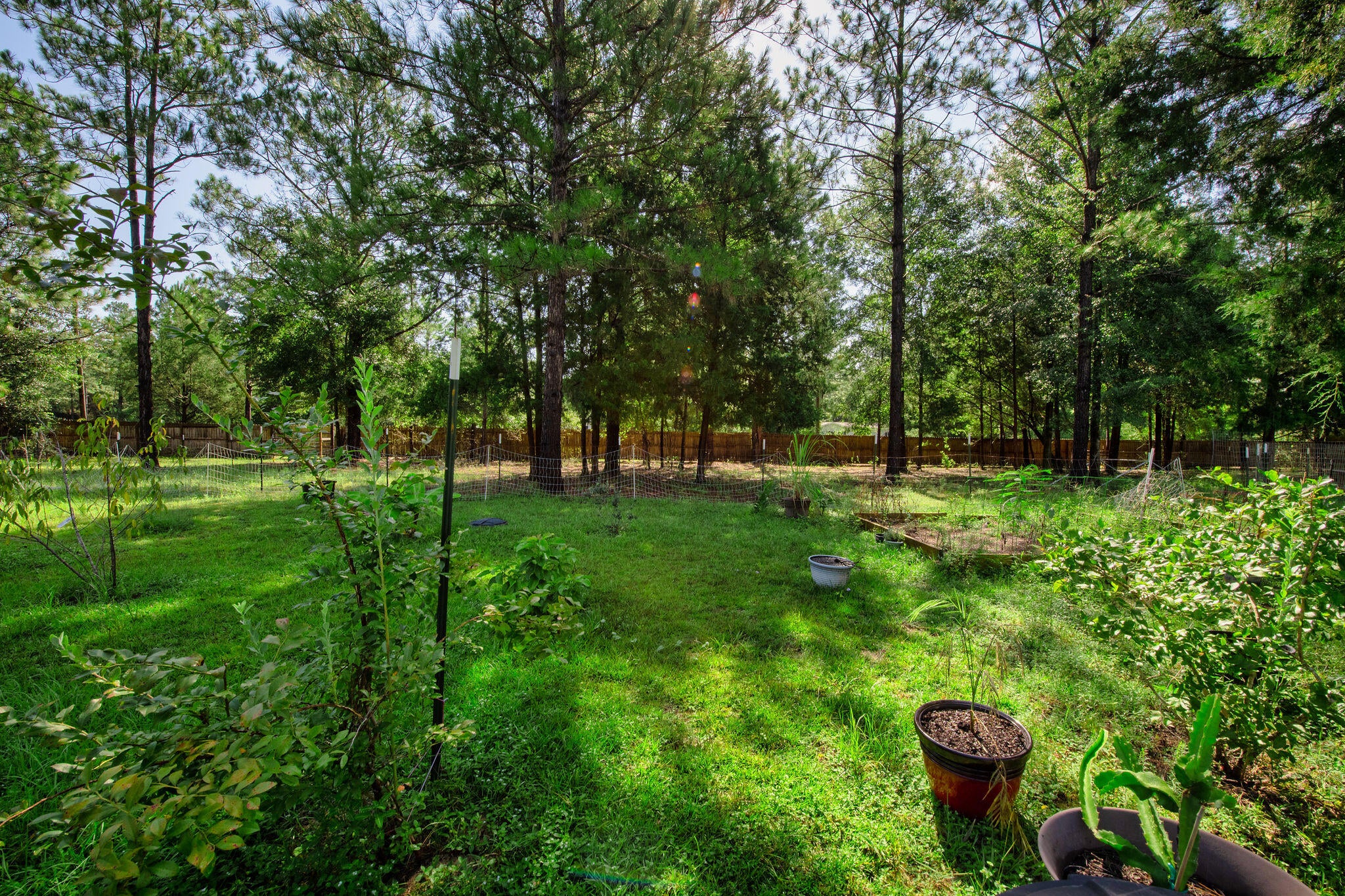 9718 Domino Road Milton, FL 32583 - Photo 45 of 48 Gallery Image 45