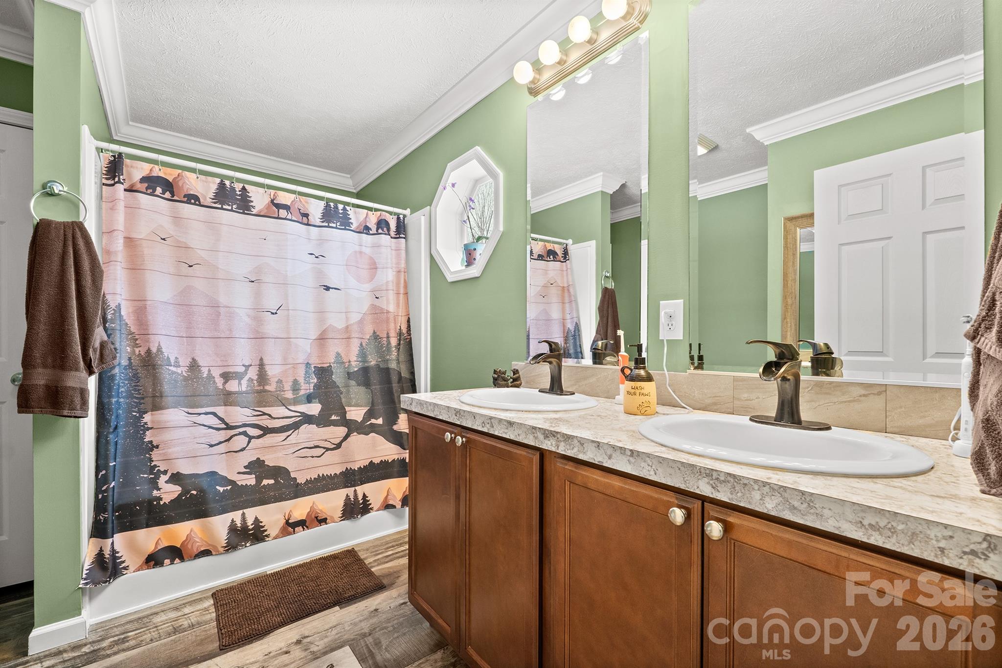 119 Marietta Road Mooresville, NC 28117 - Photo 25 of 38 a bathroom with a granite countertop sink and a mirror