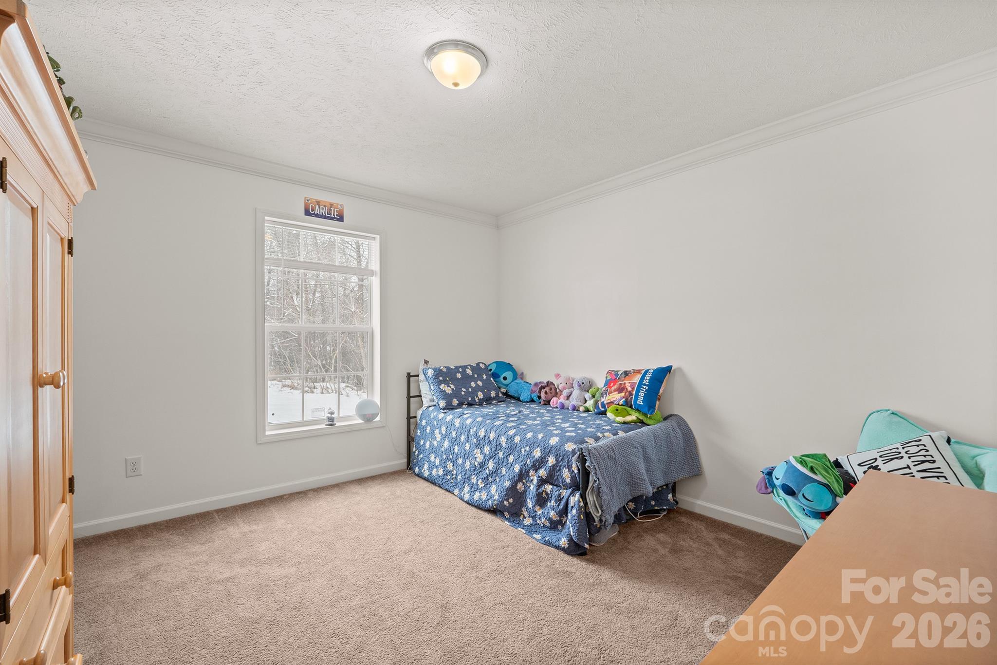 119 Marietta Road Mooresville, NC 28117 - Photo 29 of 38 a living room with a bed and a couch