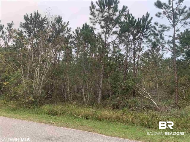 Lot 3 Geno Road Gulf Shores, AL 36542 - Photo 1 of 1