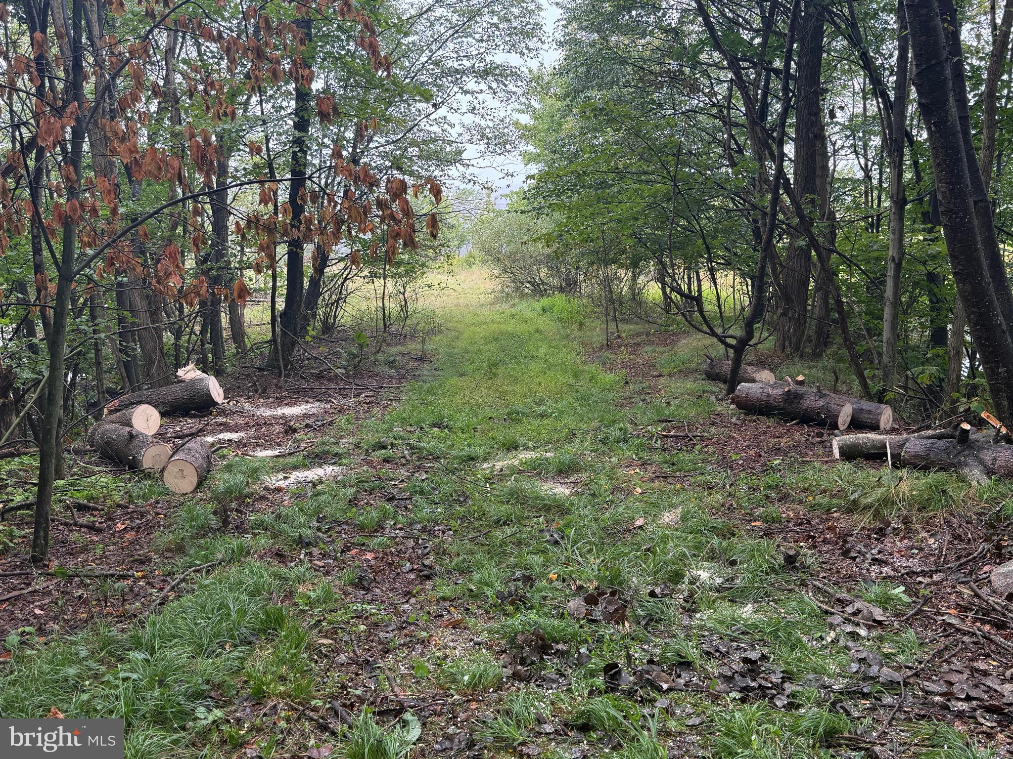 0 Pinnacle Road Keyser, WV 26726 - Photo 30 of 61