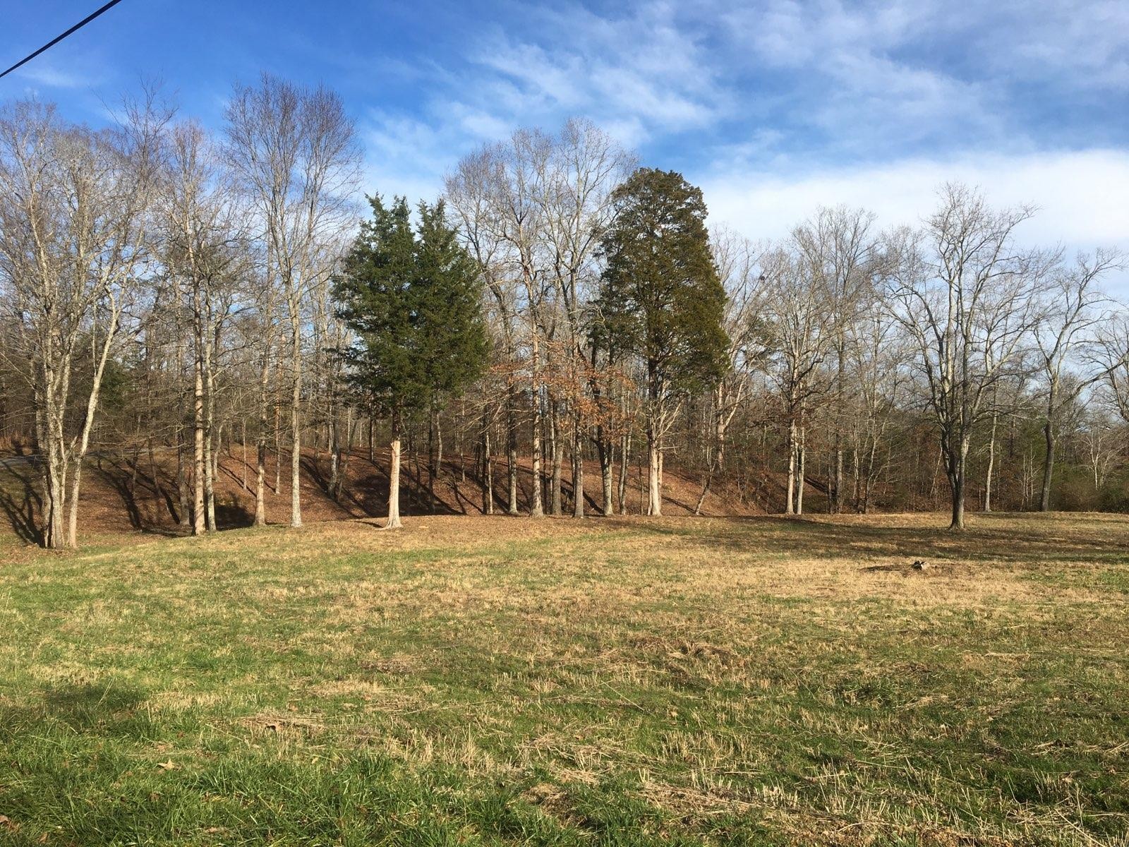 0 Stump Hollow Road Spring City, TN 37381 - Photo 11 of 12 Gallery Image 11