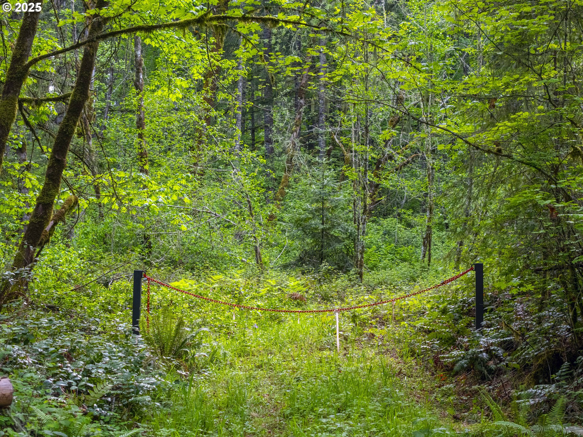Upper Calapooia Drive Sweet Home, OR 97386 - Photo 1 of 11 Gallery Image 1