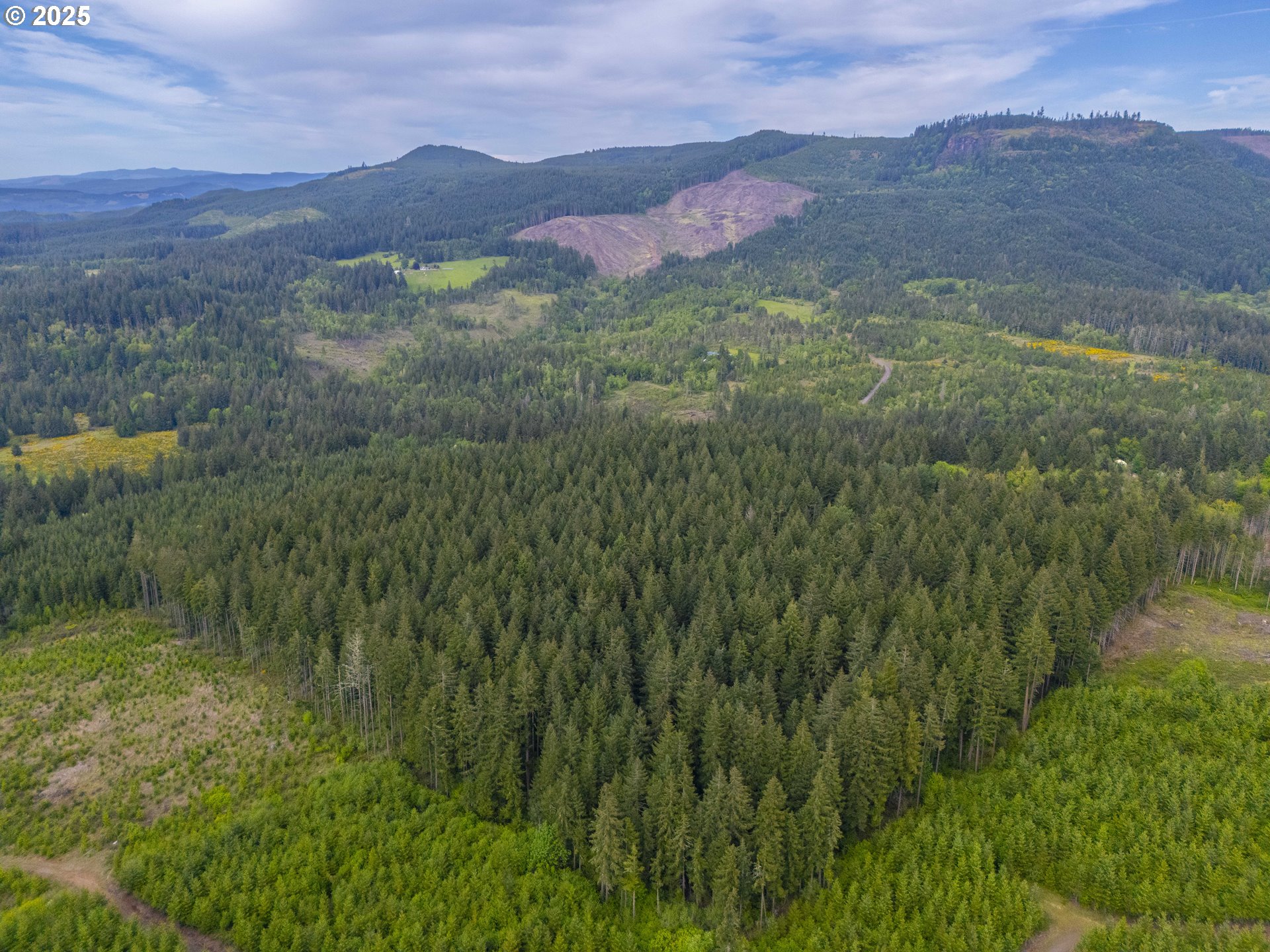Upper Calapooia Drive Sweet Home, OR 97386 - Photo 3 of 11 Gallery Image 3