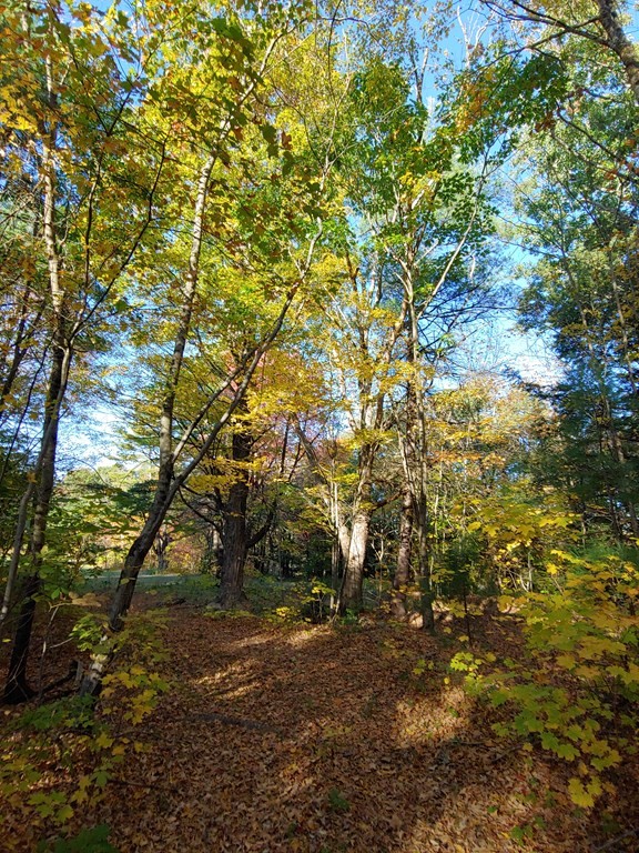 0 Apple Road Brimfield, MA 01010 - Photo 2 of 2 Gallery Image 2