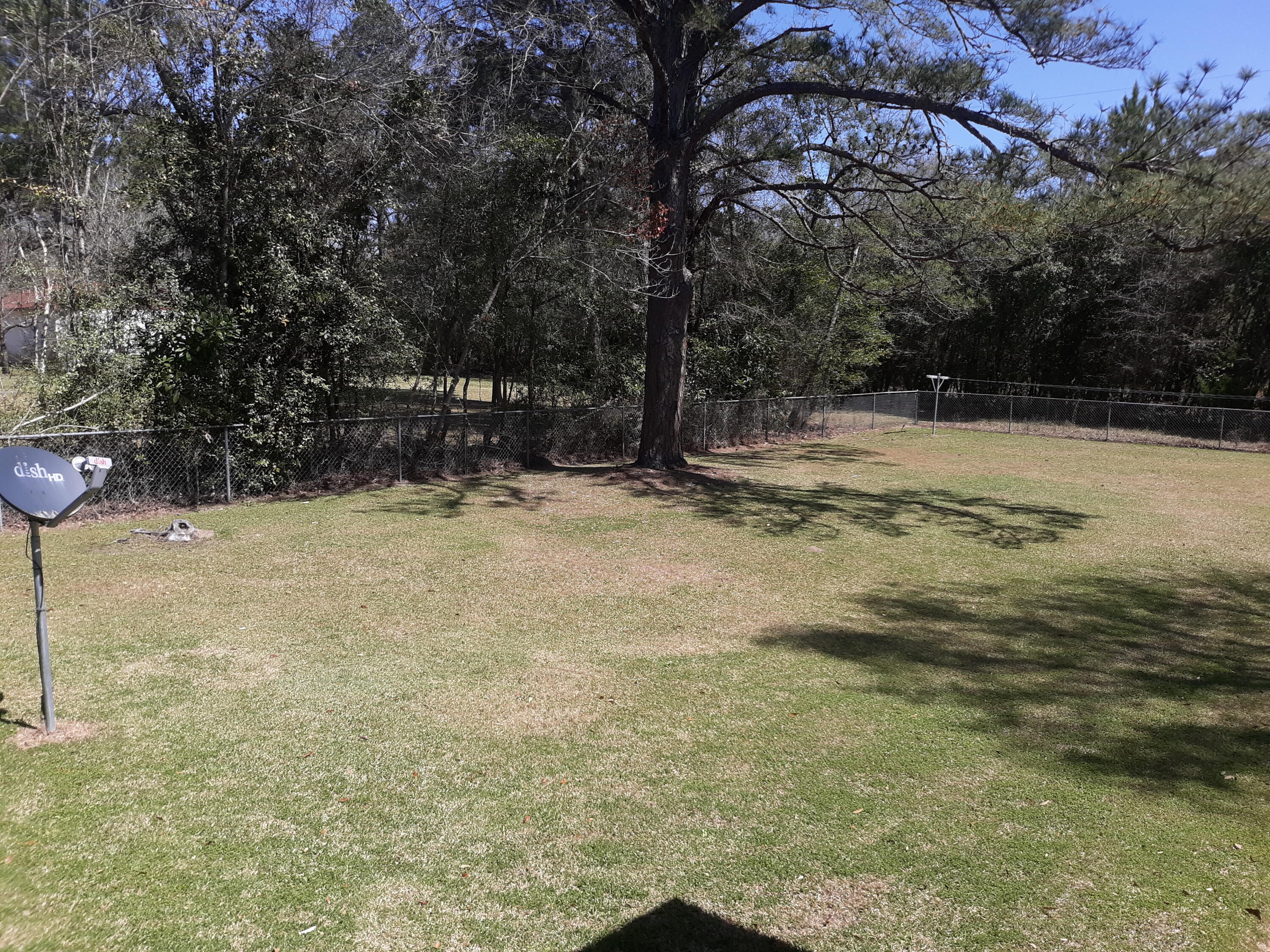 267 Chestnut Avenue Denmark, SC 29042 - Photo 16 of 34