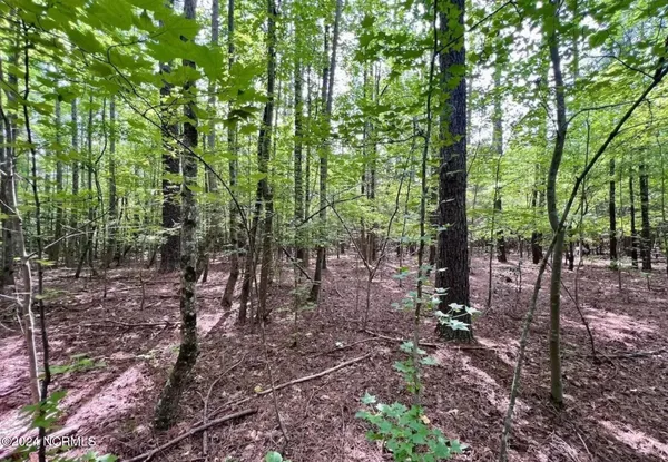 $23,500 | 38 Gordon Lane, Macon, NC 27551