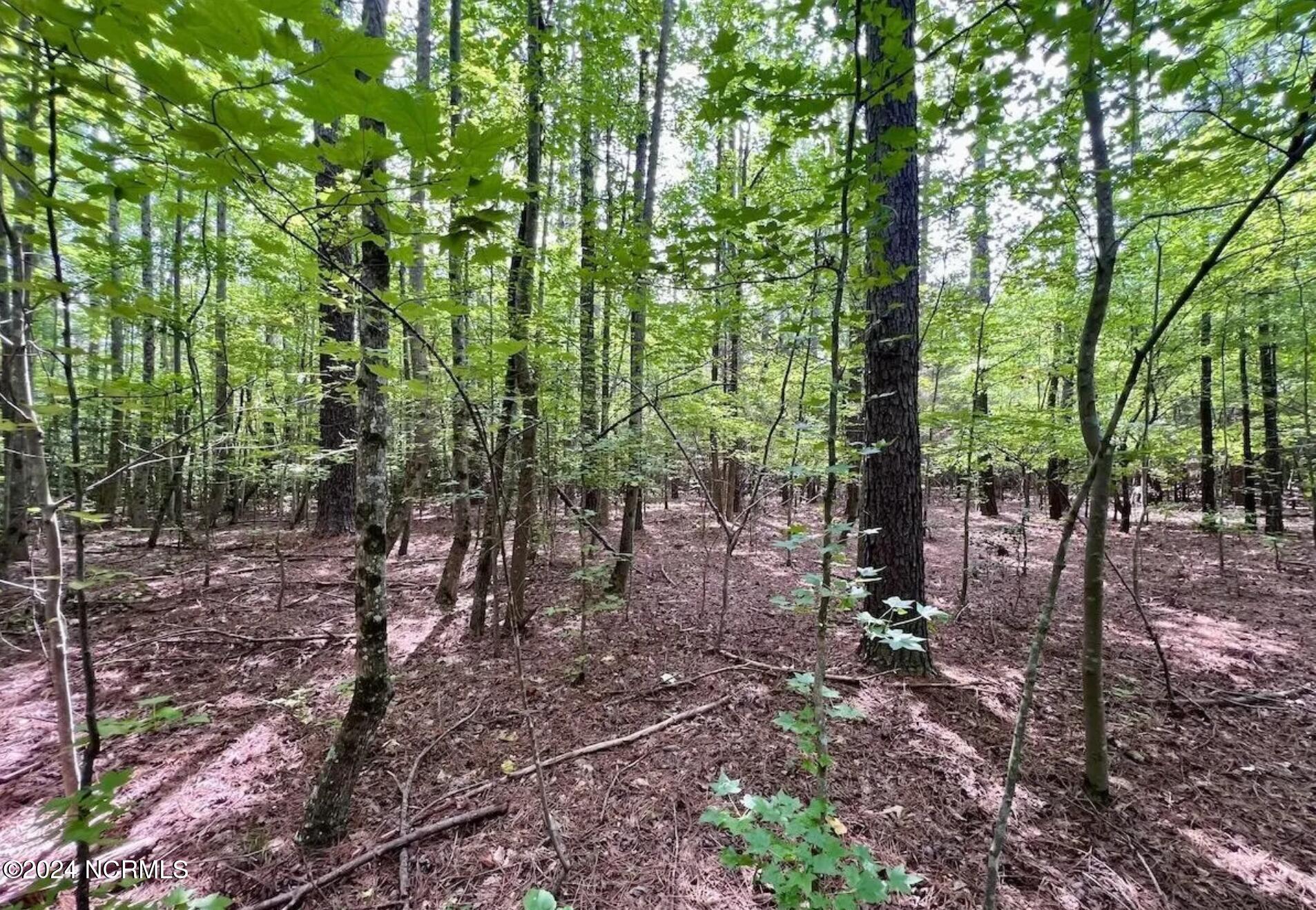 38 Gordon Lane Macon, NC 27551 - Photo 2 of 9 Tree Line
