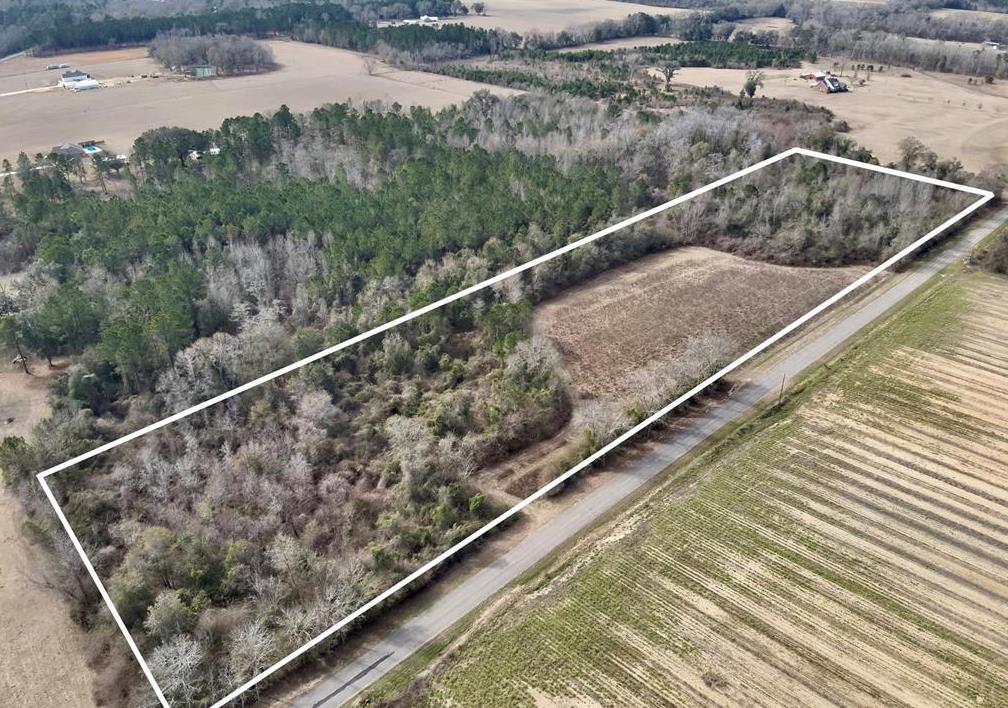 0 Antioch Road Ashford, AL 36312 - Photo 1 of 1