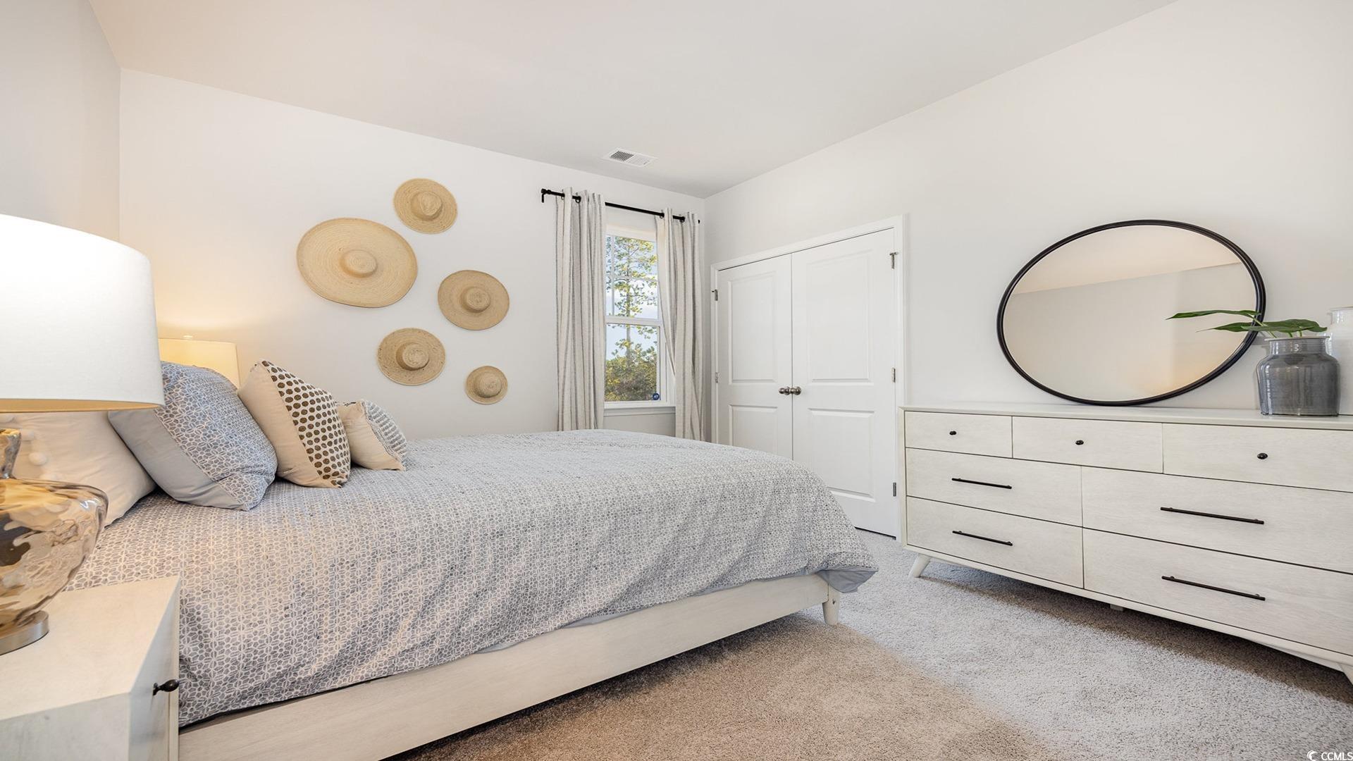 526 Haven View Way Murrells Inlet, SC 29576 - Photo 21 of 31 Spacious closet featuring light hardwood / wood-st