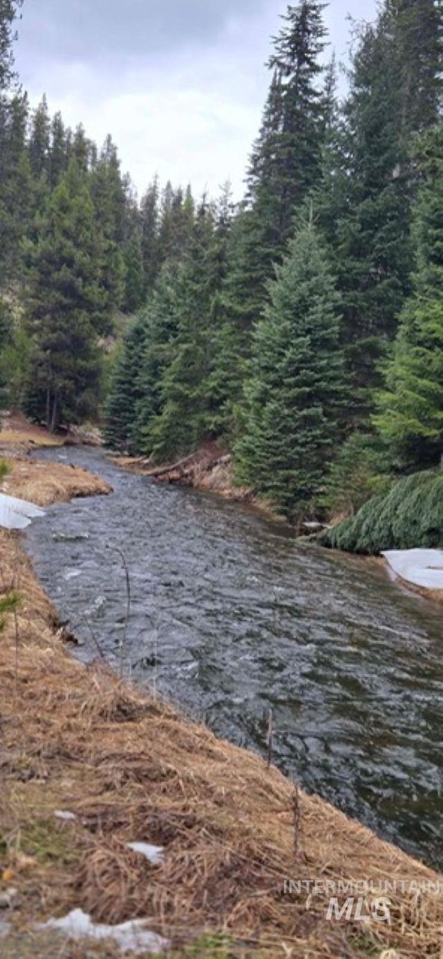 4250 American River Road Elk City, ID 83525 - Photo 25 of 28 Water view with a heavily wooded area