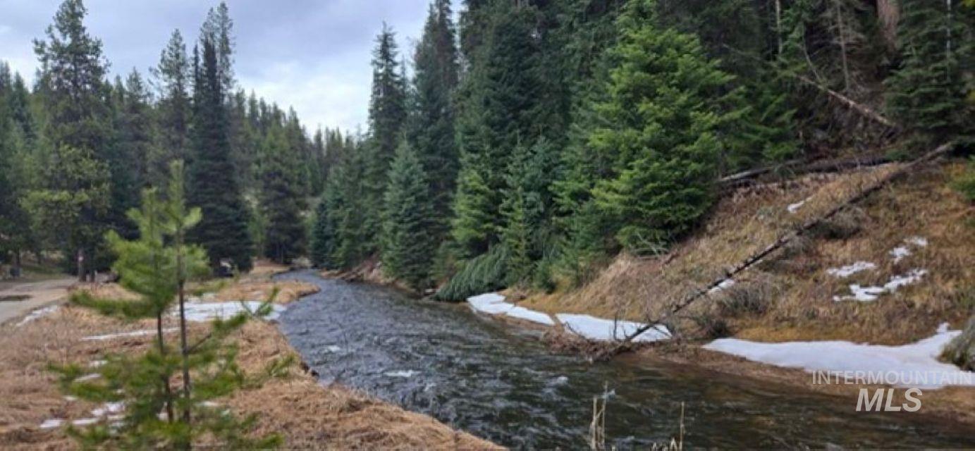 4250 American River Road Elk City, ID 83525 - Photo 26 of 28 Water view featuring a heavily wooded area