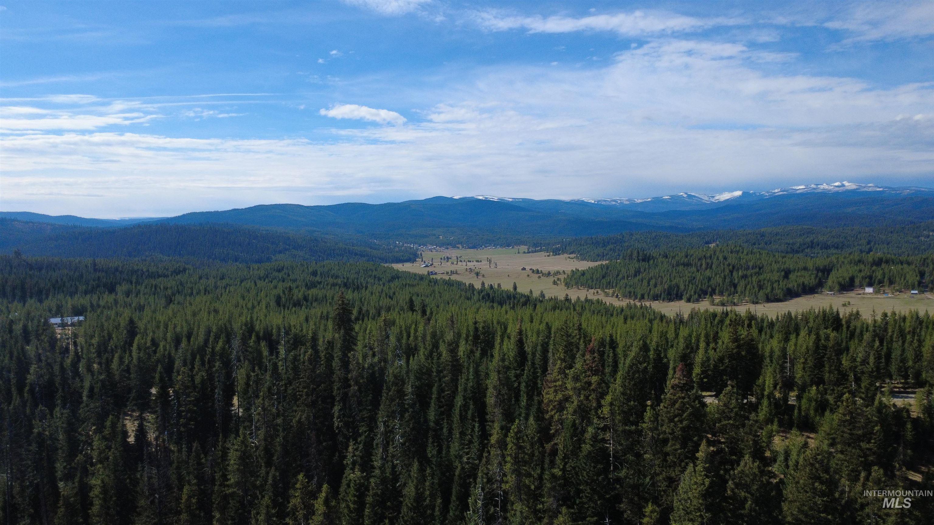 4250 American River Road Elk City, ID 83525 - Photo 41 of 46 Mountain view featuring a forest