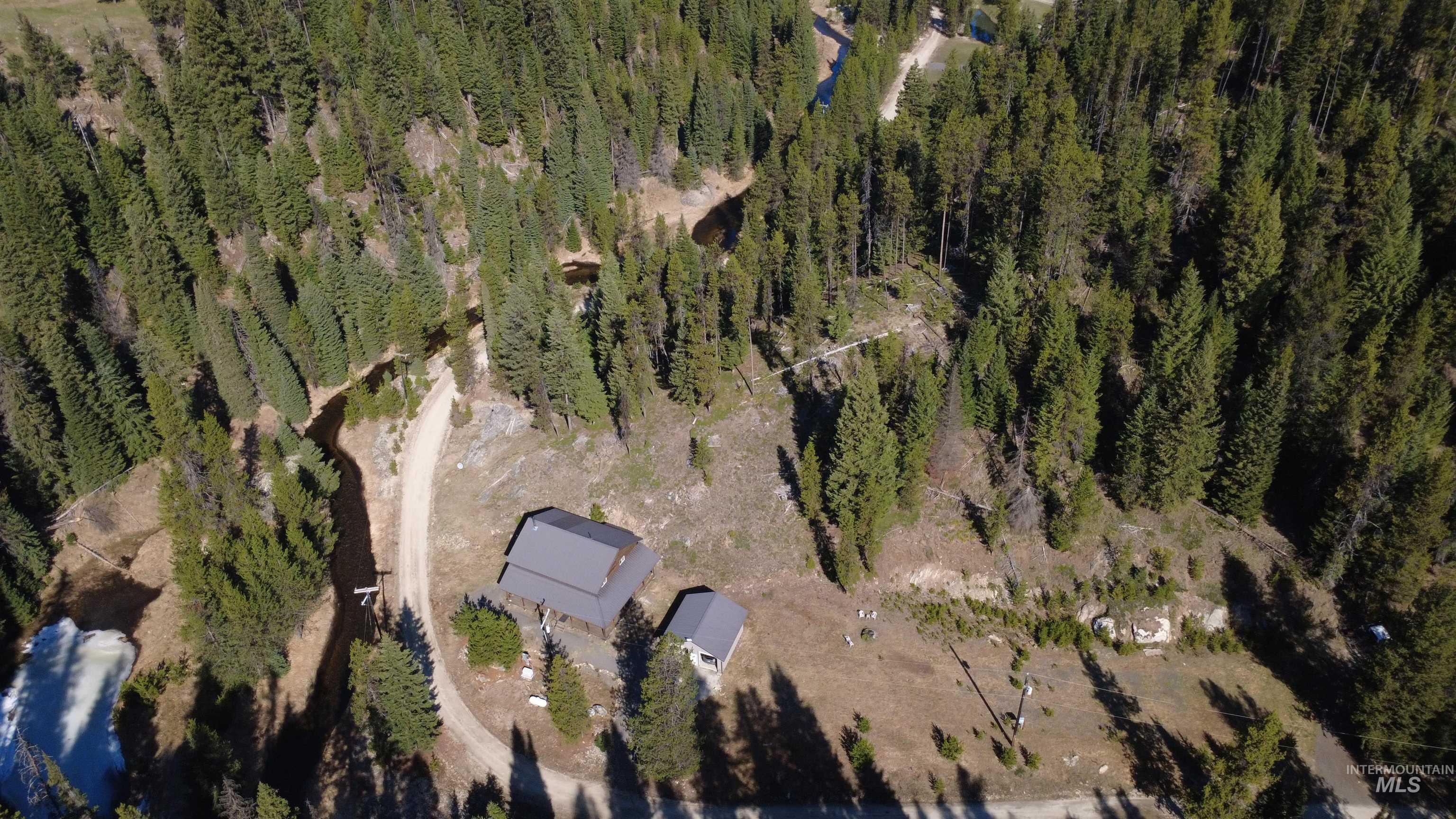 4250 American River Road Elk City, ID 83525 - Photo 42 of 46 Aerial view of a forest