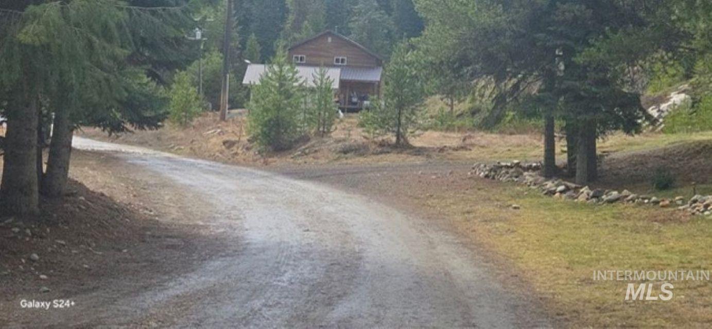 4250 American River Road Elk City, ID 83525 - Photo 6 of 28 View of road