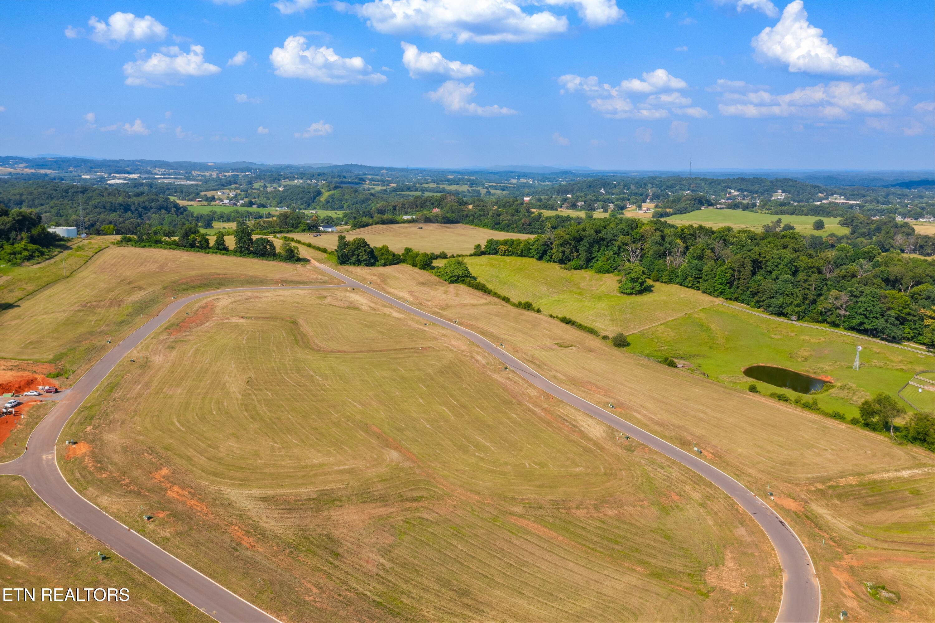 Lot 72 Vista Ridge Drive White Pine, TN 37890 - Photo 11 of 14 Pine Meadows