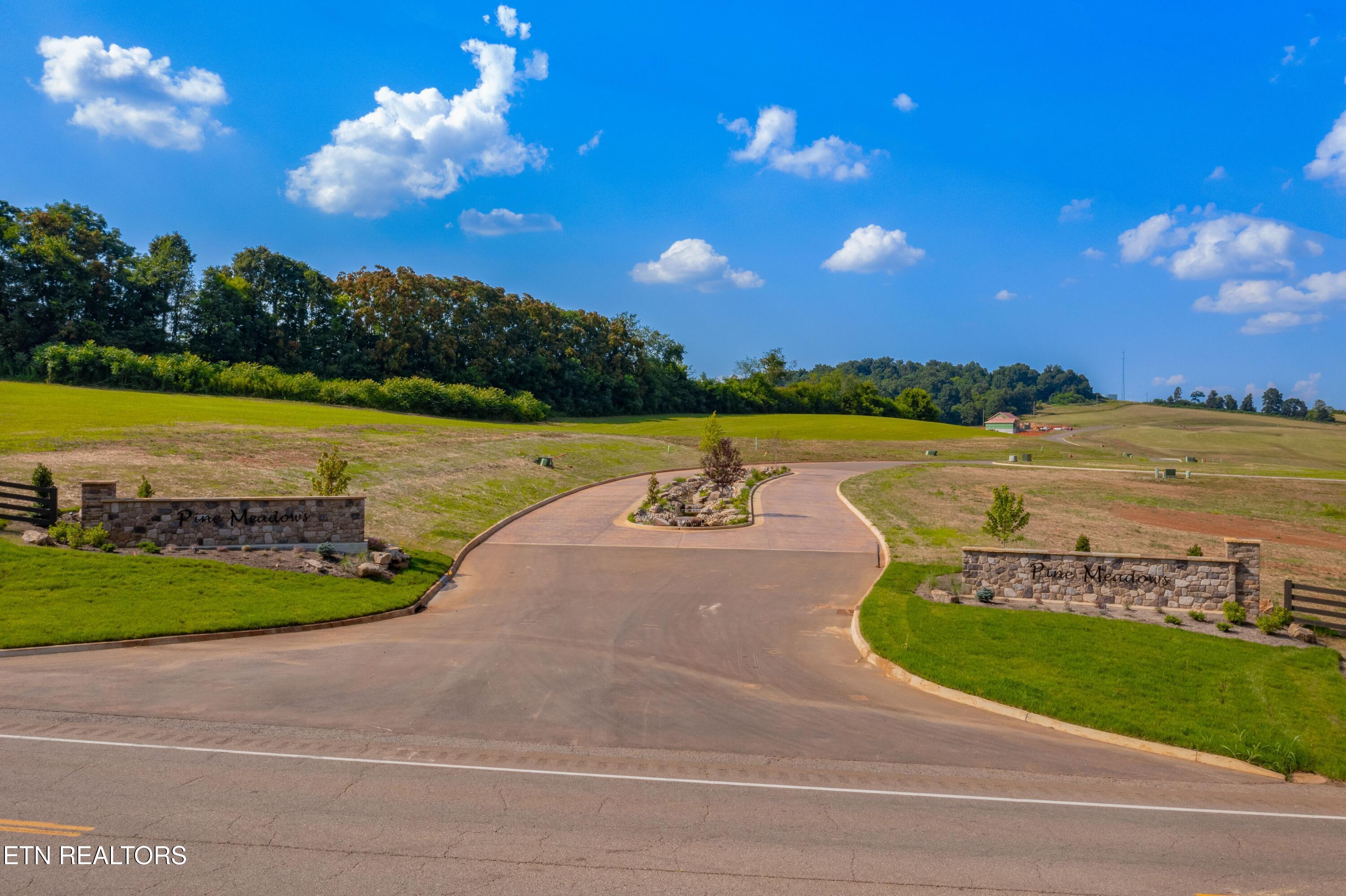 Lot 72 Vista Ridge Drive White Pine, TN 37890 - Photo 13 of 14 Pine Meadows Lot 4-6