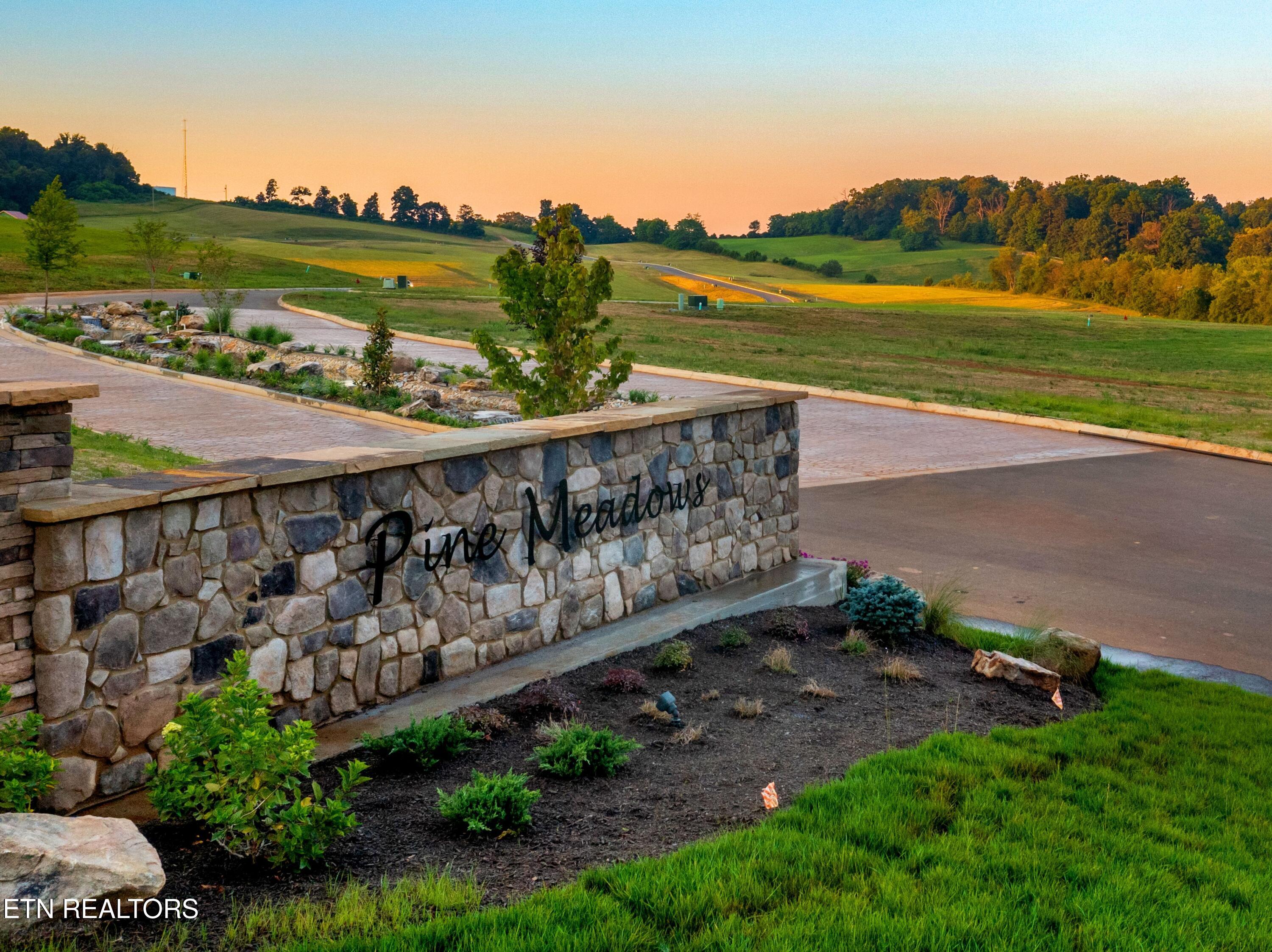 Lot 72 Vista Ridge Drive White Pine, TN 37890 - Photo 14 of 14 Pine Meadows Lot 39-6