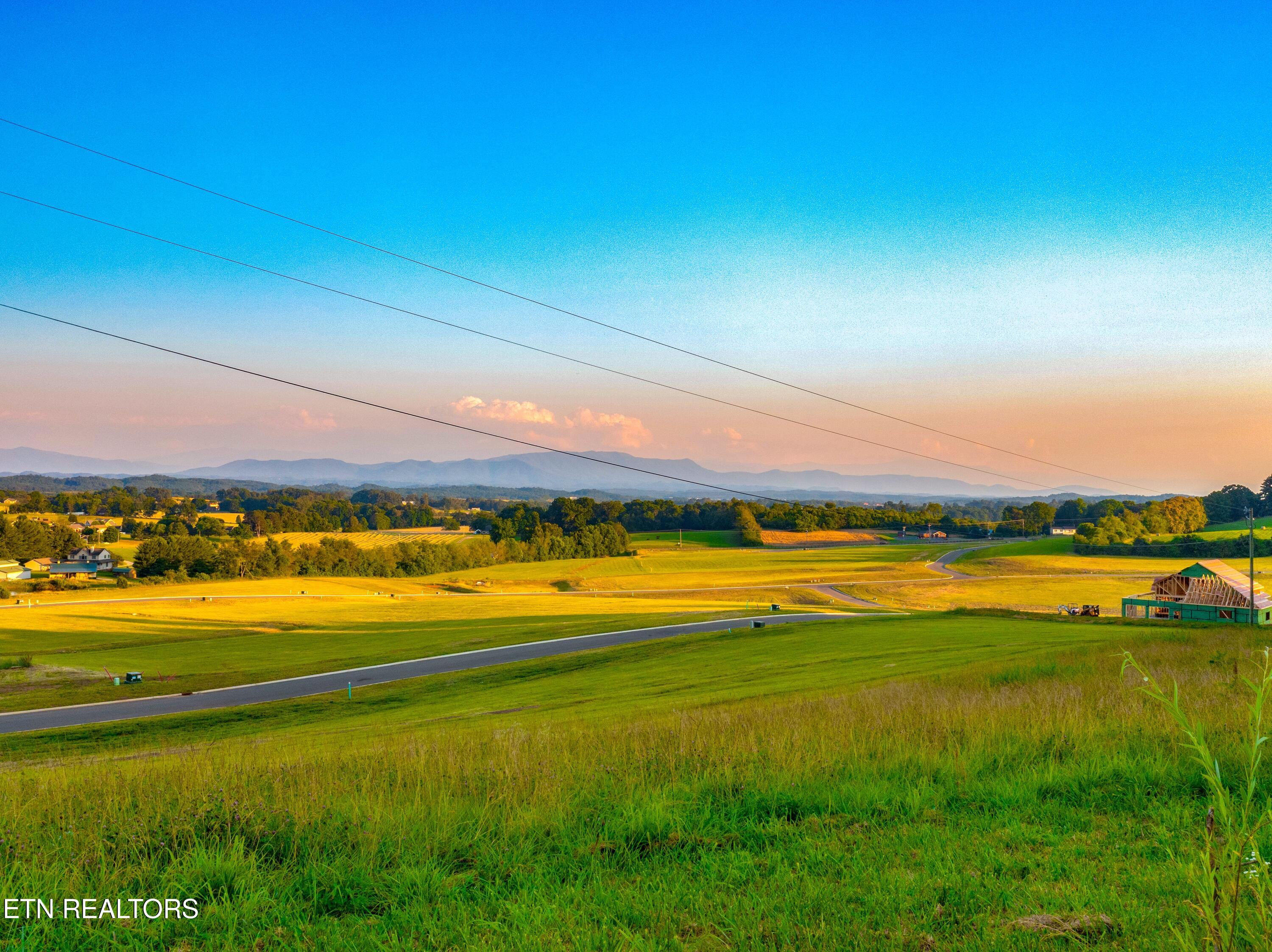 Lot 72 Vista Ridge Drive White Pine, TN 37890 - Photo 2 of 14 Pine Meadows Lot 72
