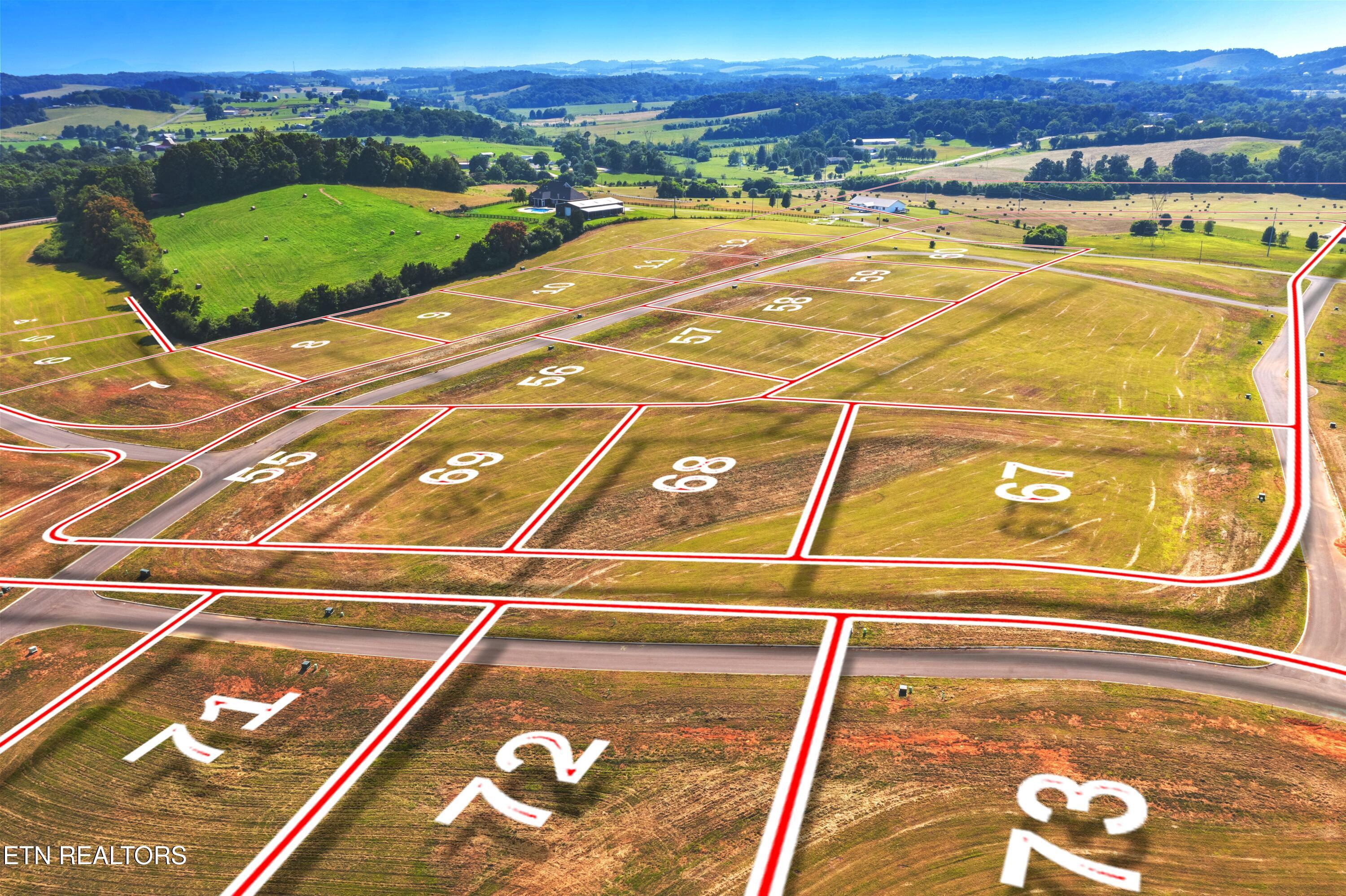 Lot 72 Vista Ridge Drive White Pine, TN 37890 - Photo 10 of 14 Pine Meadows Lot 72