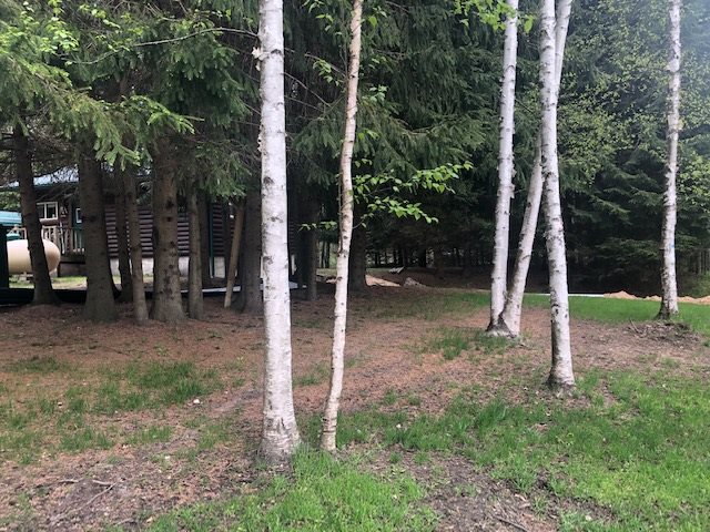 7293 North Coldwater Road Lake, MI 48632 - Photo 18 of 26 1858325-20.JPG
