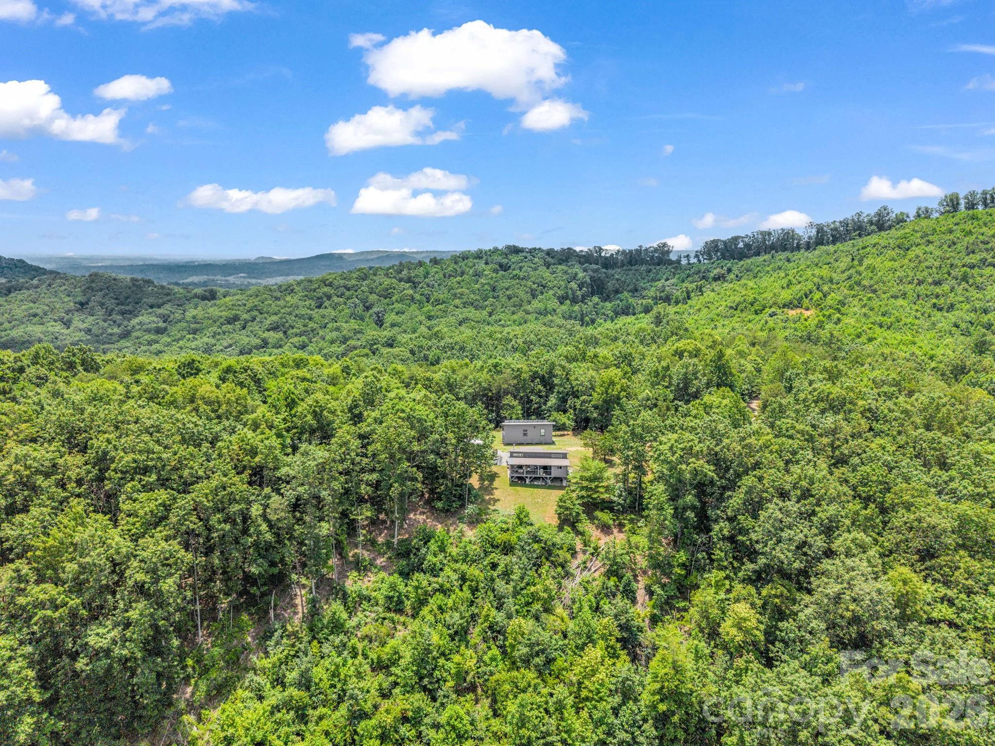 1300 Towery Trace Road Ellenboro, NC 28040 - Photo 2 of 38