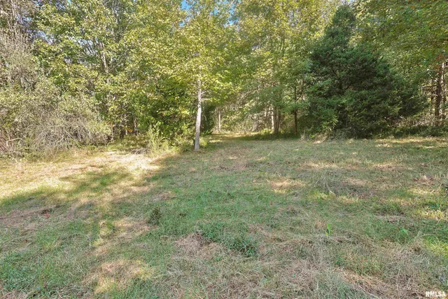 $209,000 | 0 Winstead Road, Cobden, IL 62920