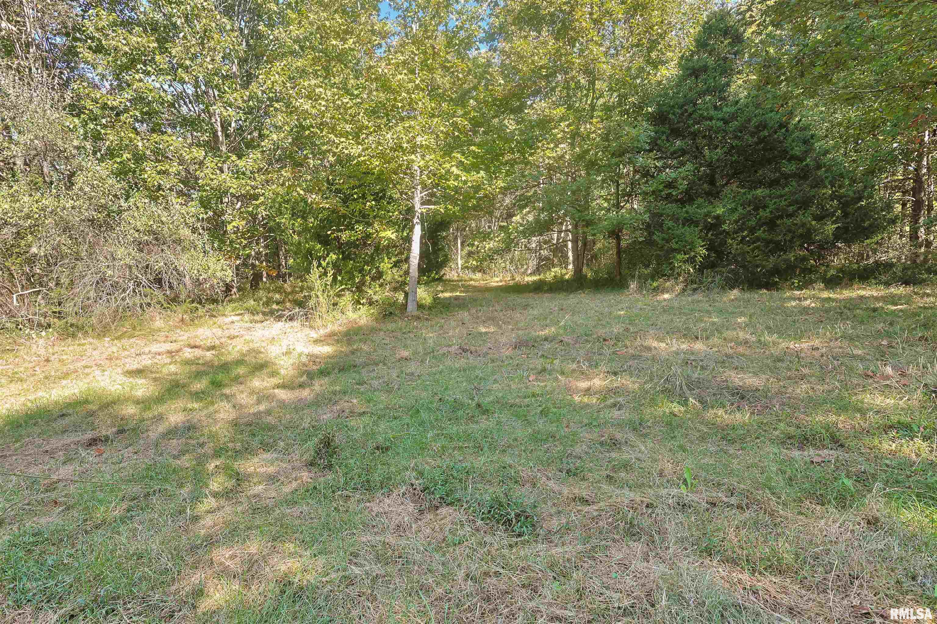 0 Winstead Road Cobden, IL 62920 - Photo 13 of 17