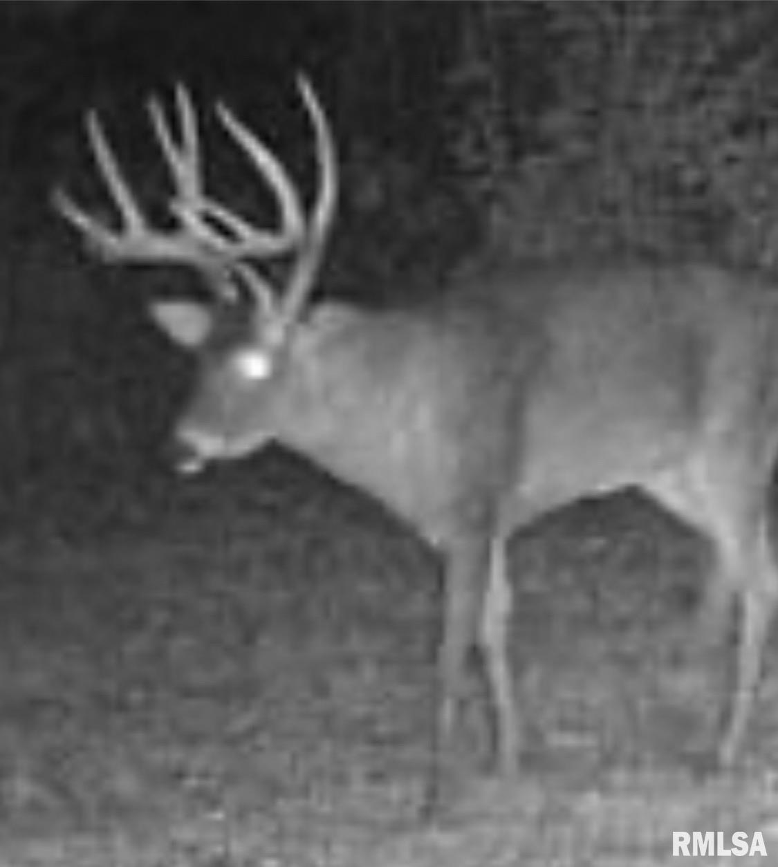 0 Winstead Road Cobden, IL 62920 - Photo 14 of 17