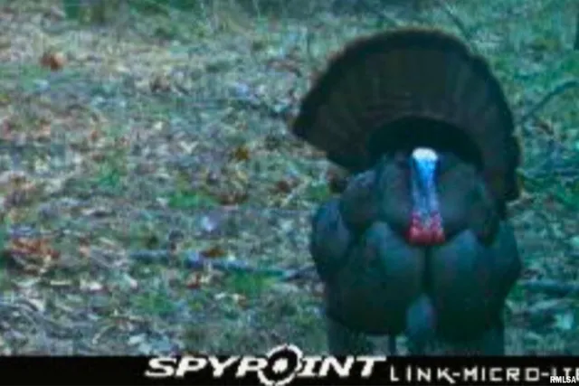 $209,000 | 0 Winstead Road, Cobden, IL 62920