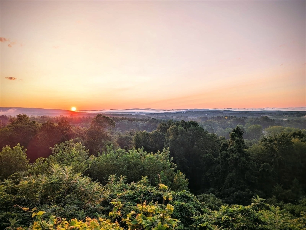 151 Smead Hill Road Greenfield, MA 01301 - Photo 24 of 24 a view of a lush green field with mountains in the background