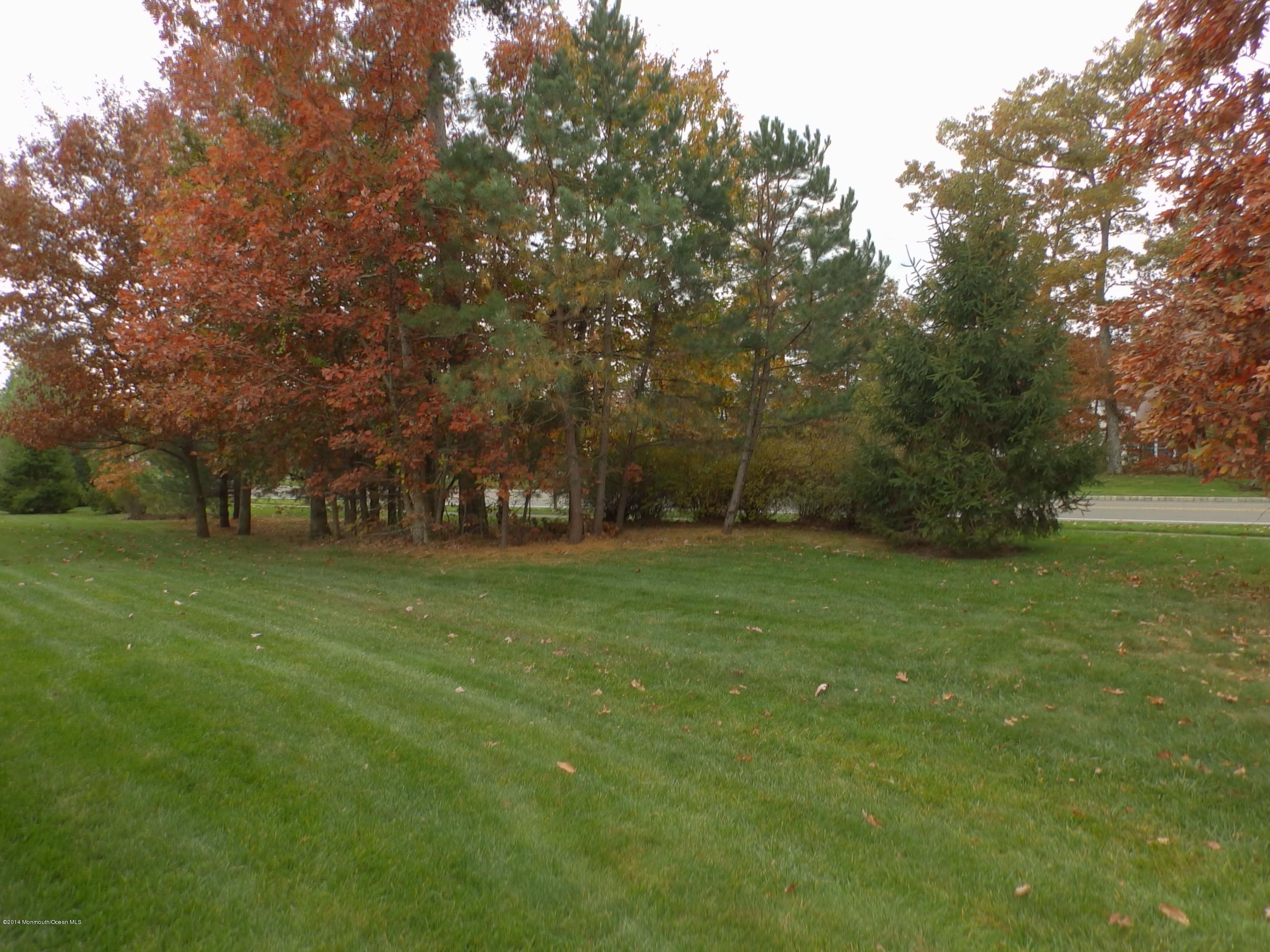 12 Congressional Road Jackson, NJ 08527 - Photo 3 of 20 yard