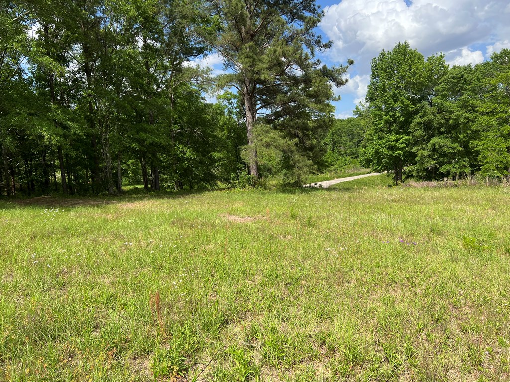 Lot 30 Ridge Drive Headland, AL 36345 - Photo 5 of 5